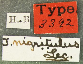 Media type: image;   Entomology 3392 Aspect: labels